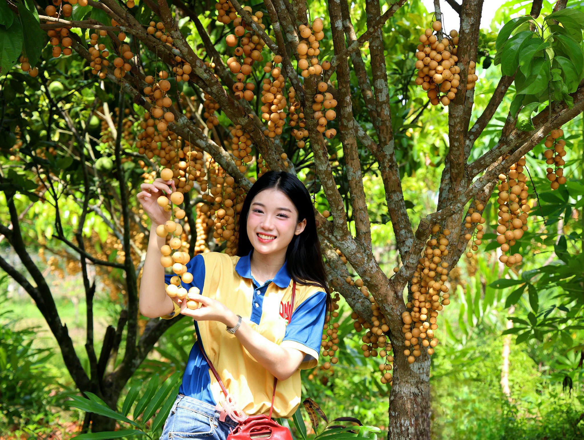 Nông dân miền Tây làm du lịch từ vườn cây ăn trái, thu hút khách quốc tế - Ảnh 5.