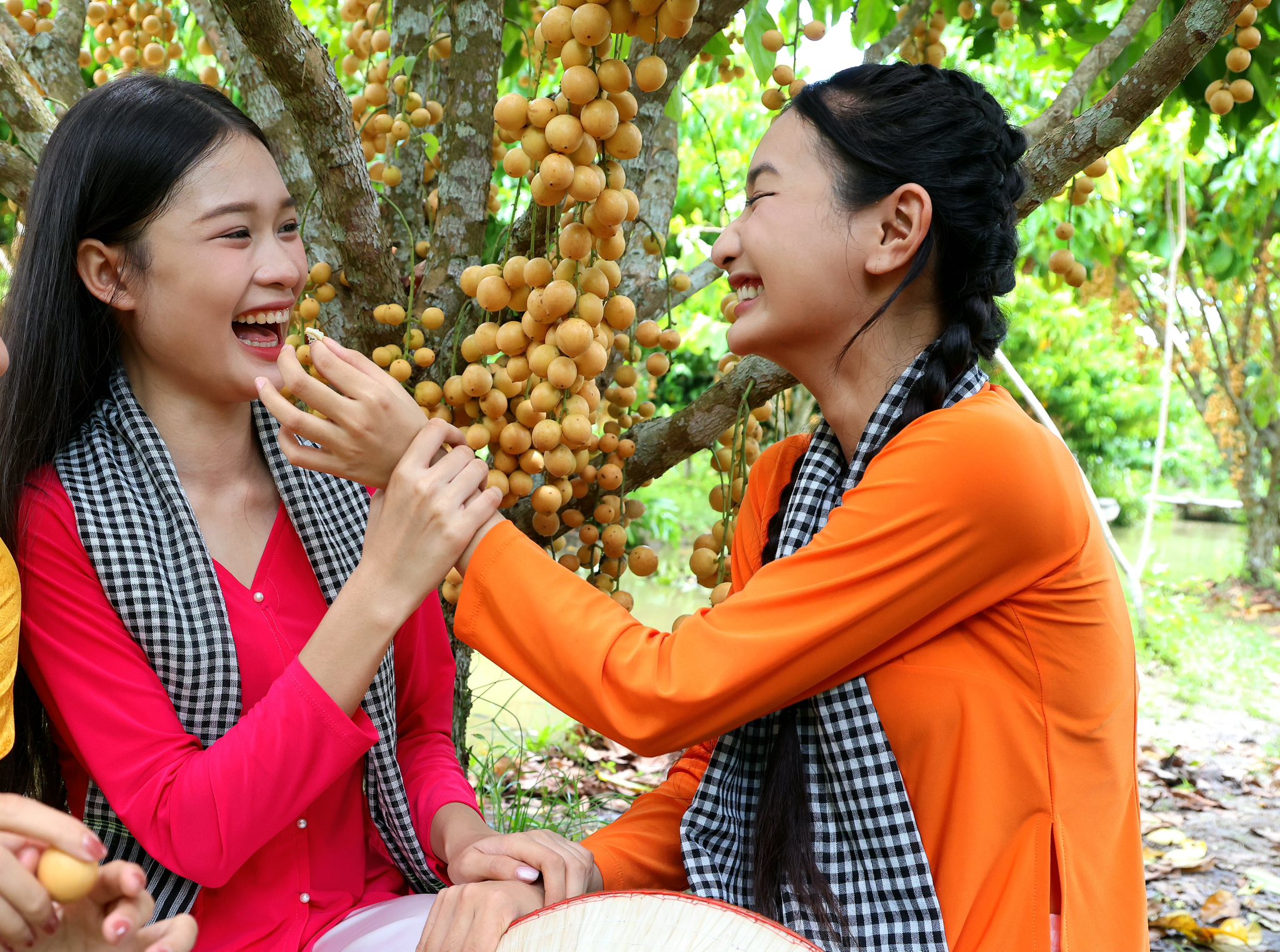 Nông dân miền Tây làm du lịch từ vườn cây ăn trái, thu hút khách quốc tế - Ảnh 7.
