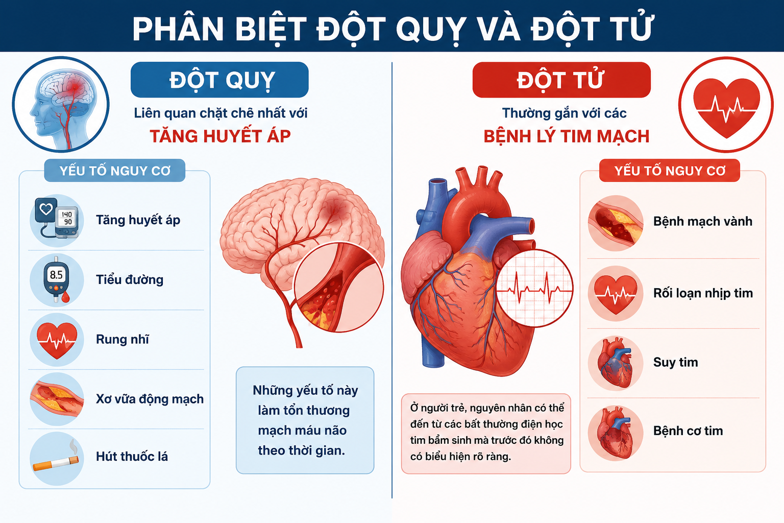 Phân biệt đột quỵ và đột tử khi thấy người bất ngờ ngã gục 12 Phân biệt đột quỵ và ngừng tim khi thấy người bất ngờ ngã gục - Ảnh 2.