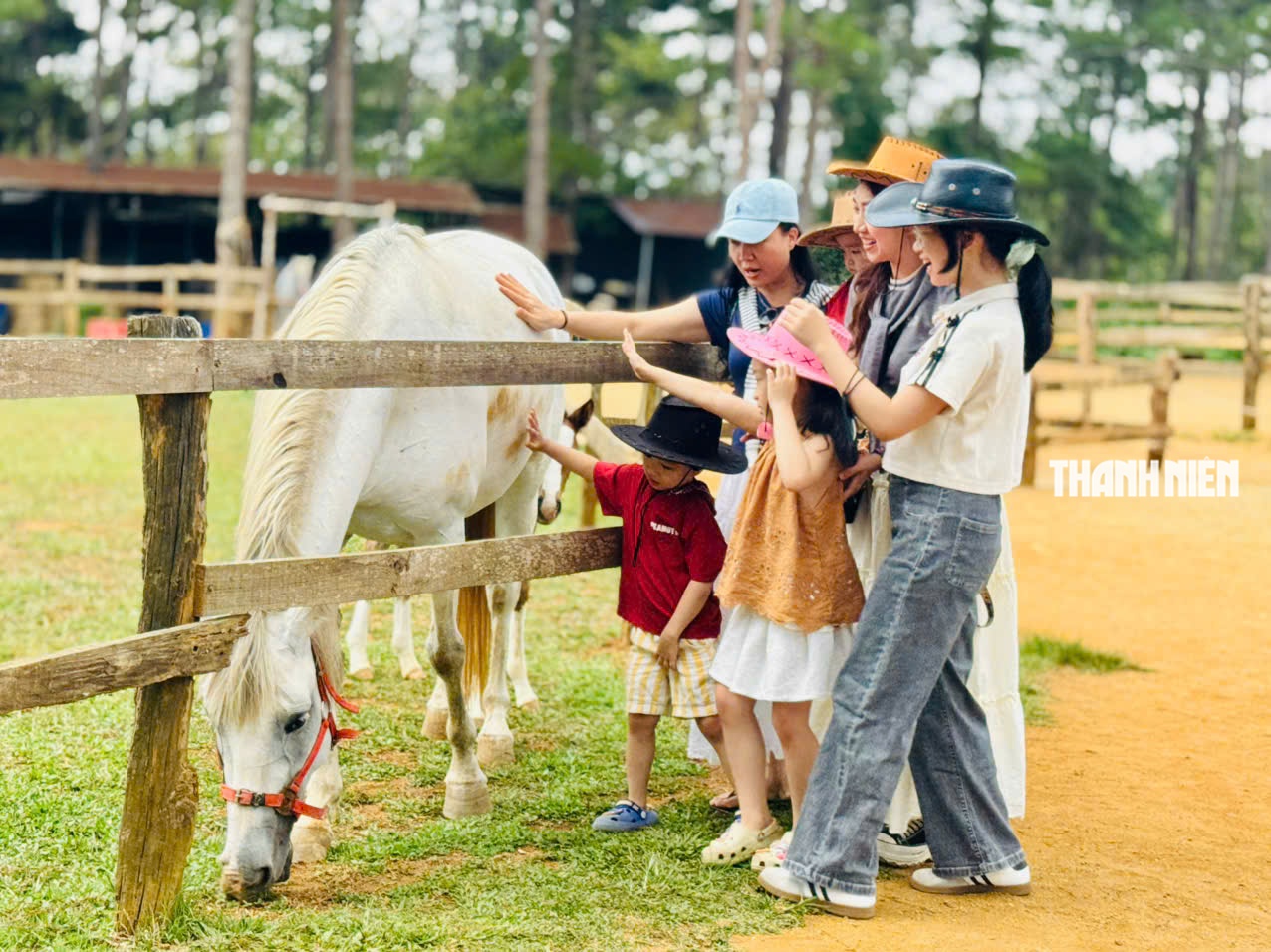 Đến Măng Đen cưỡi ngựa trị giá trăm triệu xuyên rừng thông, ngắm đại ngàn- Ảnh 2. Đến Măng Đen cưỡi ngựa trị giá trăm triệu xuyên rừng thông, ngắm đại ngàn- Ảnh 2.