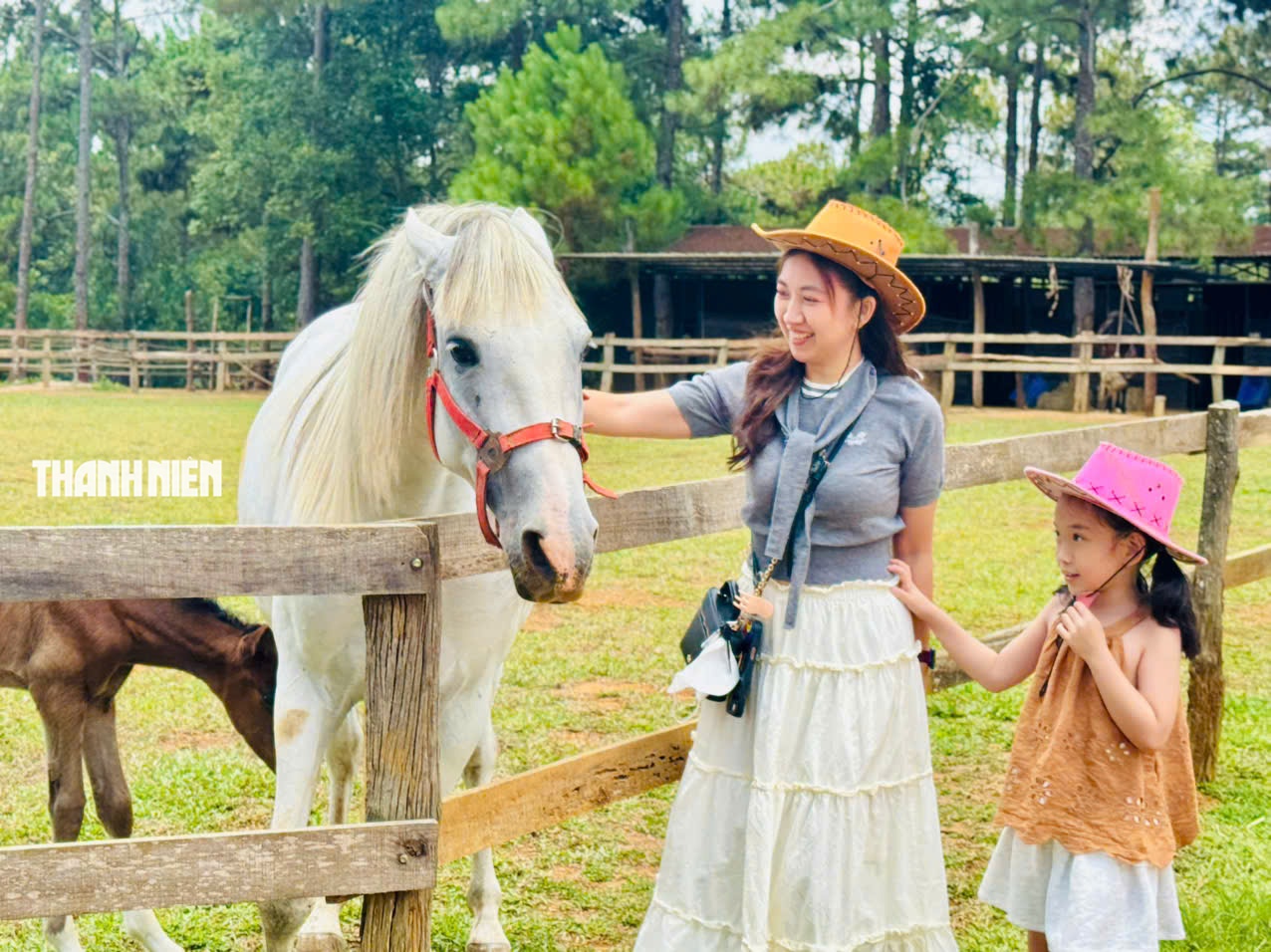 Đến Măng Đen cưỡi ngựa trị giá trăm triệu xuyên rừng thông, ngắm đại ngàn- Ảnh 3. Đến Măng Đen cưỡi ngựa trị giá trăm triệu xuyên rừng thông, ngắm đại ngàn- Ảnh 3.