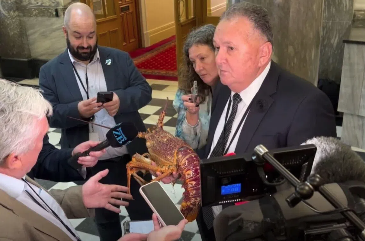 Political animal: NZ lawmaker carries crayfish into Parliament - Ảnh 1.