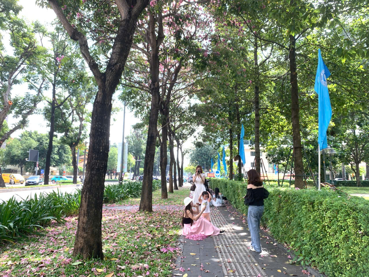 Tuyến đường hoa kèn hồng rực rỡ, người trẻ mê mệt tìm đến check-in - Ảnh 10.