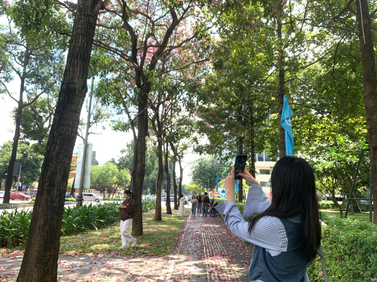 Tuyến đường hoa kèn hồng rực rỡ, người trẻ mê mệt tìm đến check-in - Ảnh 9.