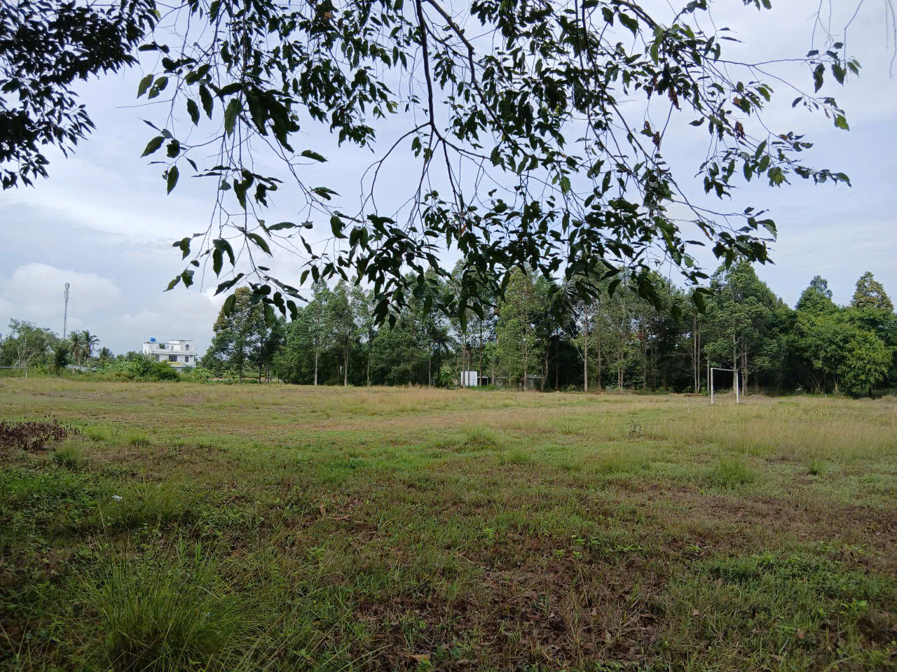 Thanh tra tỉnh Vĩnh Long chuyển hồ sơ sân vận động Vũng Liêm cho công an- Ảnh 2.