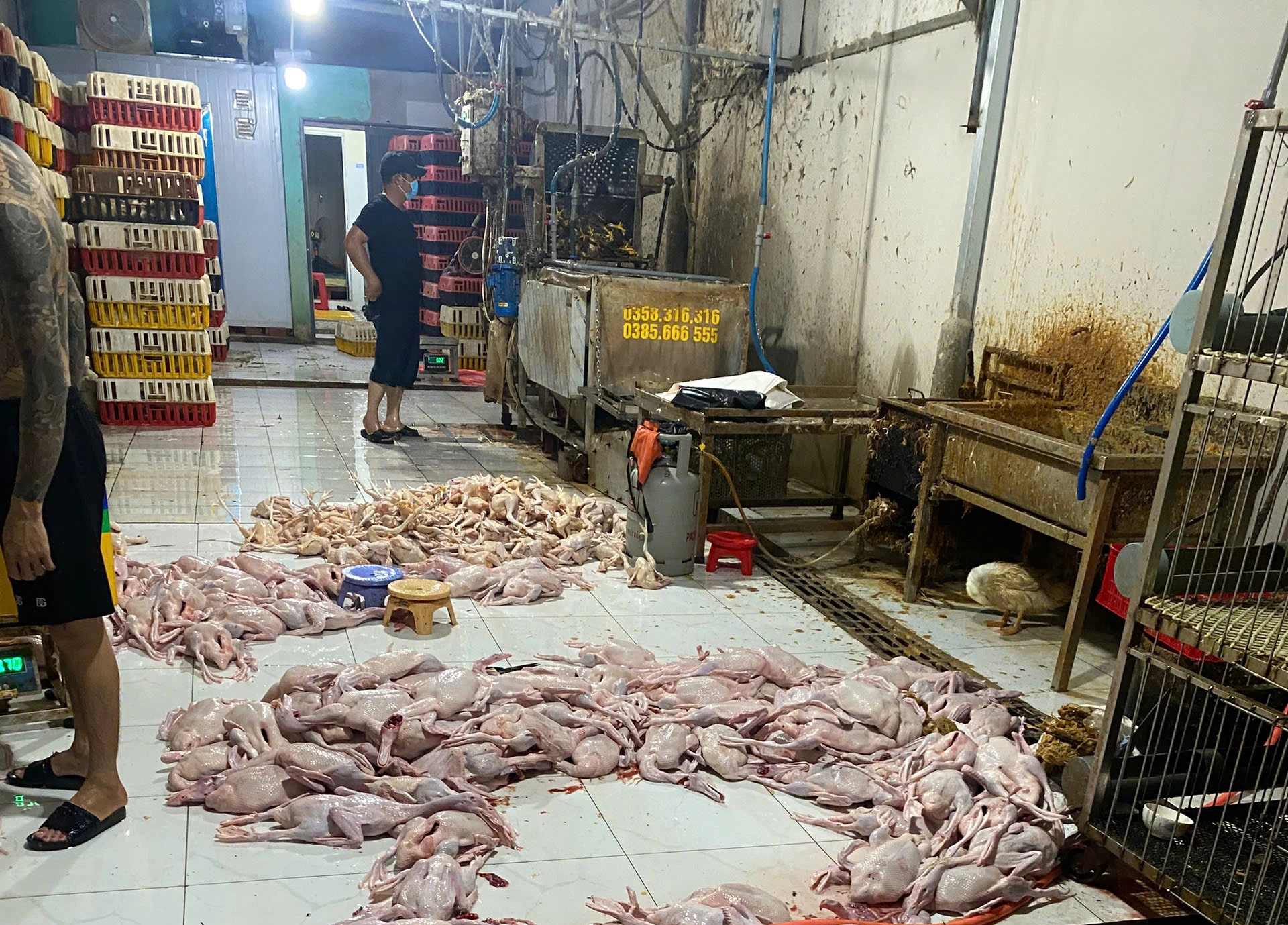 TP.HCM tổng kiểm tra giết mổ chợ Mỹ Phước 3, hàng chục sạp thịt vi phạm - Ảnh 1.