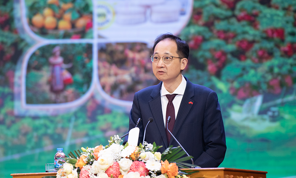 Tr&aacute;i vải Việt Nam l&agrave; 'mỹ vị nh&acirc;n gian', vải Quảng Đ&ocirc;ng chưa cạnh tranh được - Ảnh 1.