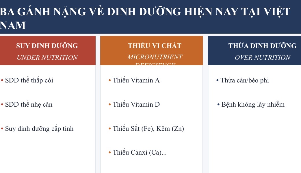 Vitamin A, vi chất dinh dưỡng sẽ nâng tầm vóc, thể chất người Việt- Ảnh 1. Vitamin A, vi chất dinh dưỡng sẽ nâng tầm vóc, thể chất người Việt- Ảnh 1.