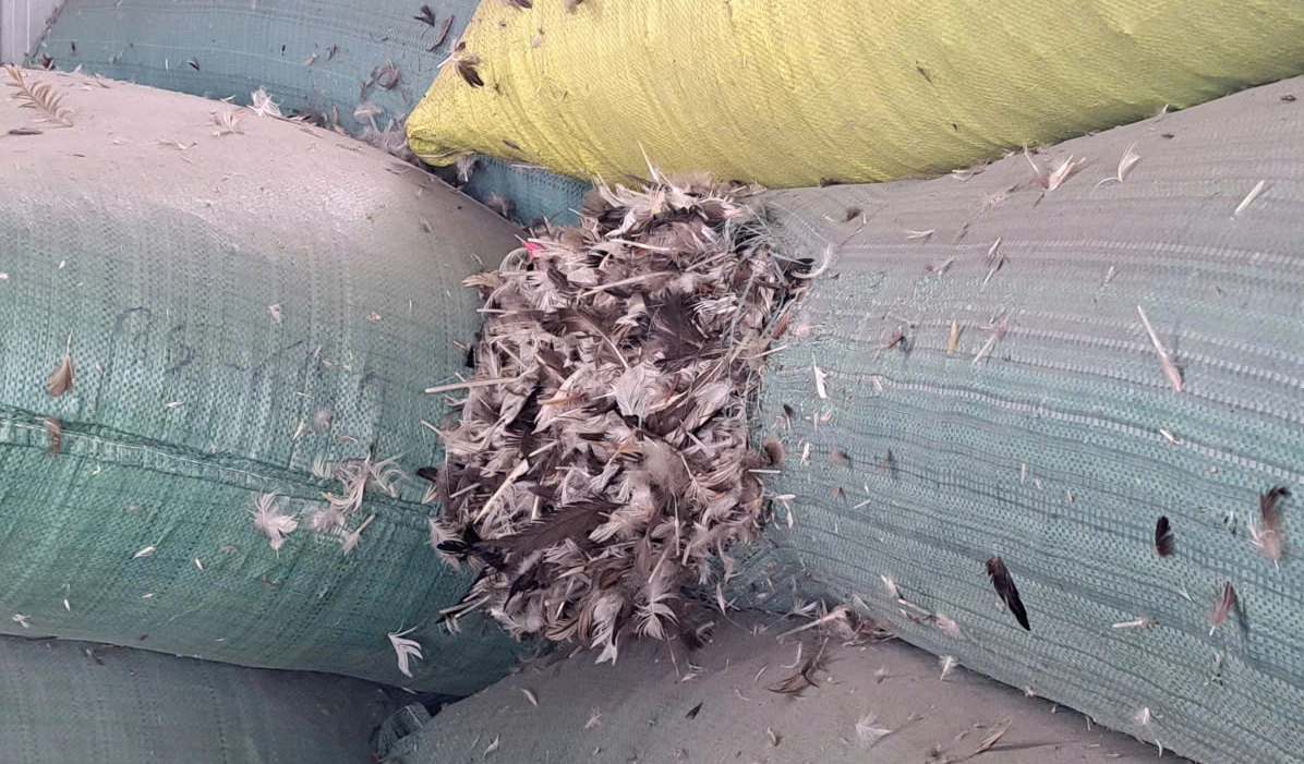 Sau phản ánh của Báo Thanh Niên, công ty gây 'ngộp thở' cam kết di dời- Ảnh 2. Sau phản ánh của Báo Thanh Niên, công ty gây 'ngộp thở' cam kết di dời- Ảnh 2.
