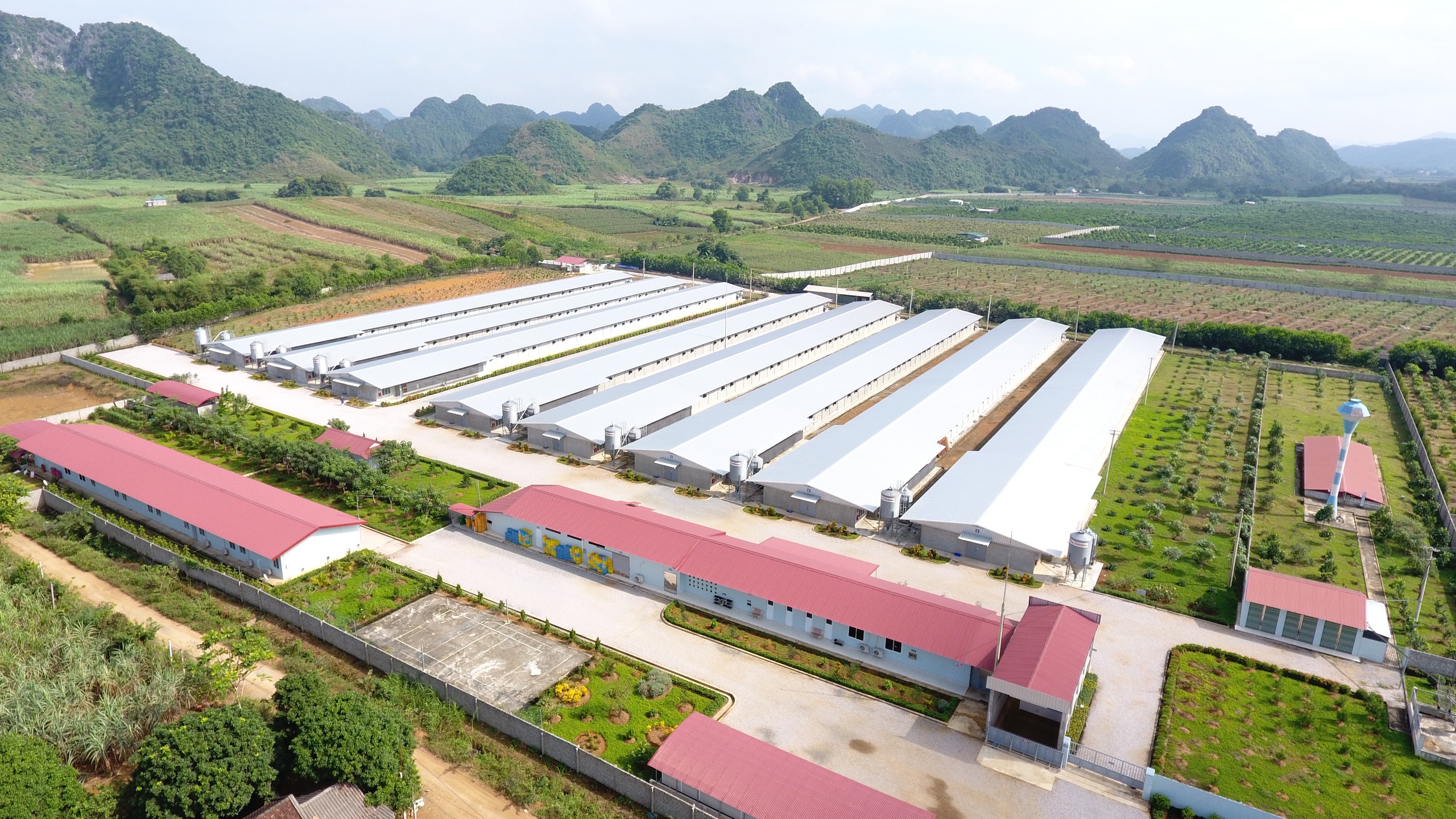 FPT và CP thúc đẩy chuyển đổi AI trong chuỗi nông nghiệp - thực phẩm - Ảnh 3.