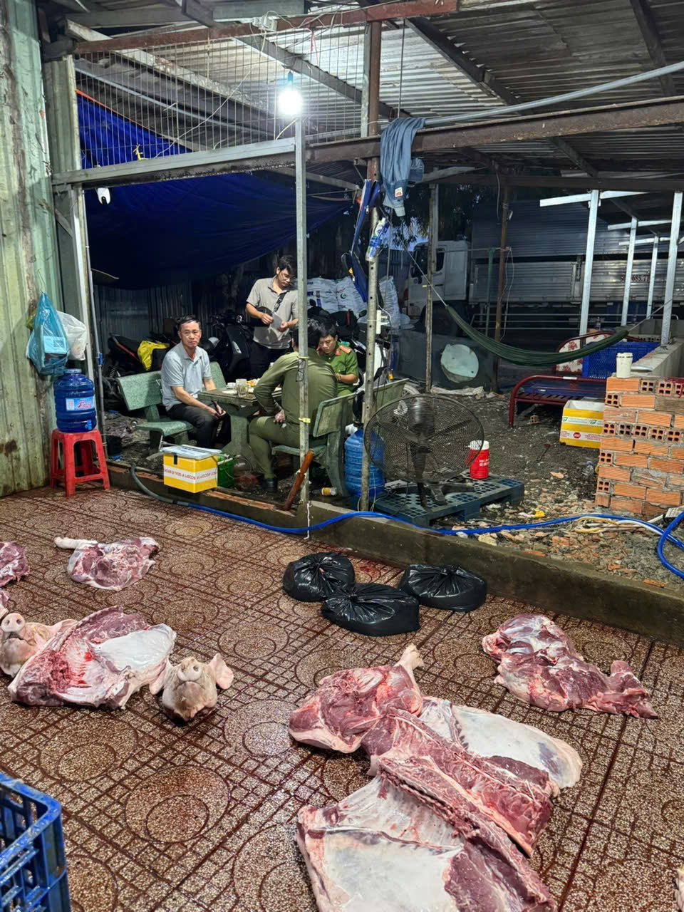 Chặn xe tải vào TP.HCM, phát hiện 620 con vịt không kiểm dịch - Ảnh 4.