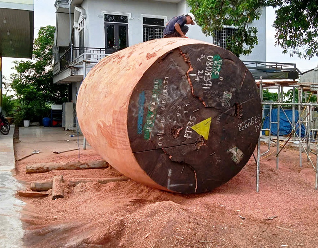 Gia tộc 8 đời làm trống khổng lồ- Ảnh 1.