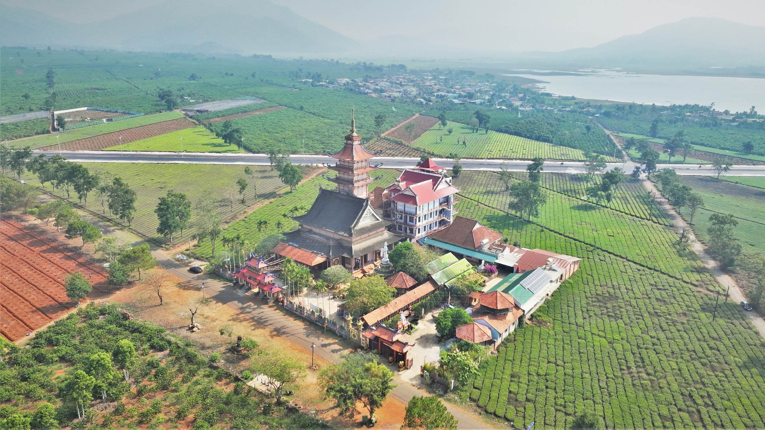Thu không đủ trả tiền công, làm sao giữ vùng chè Biển Hồ? - Ảnh 1.