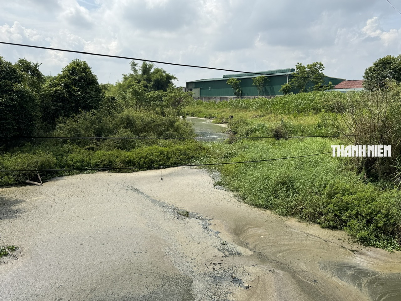 K&ecirc;nh ch&igrave;m Sơn Tịnh trở th&agrave;nh 'k&ecirc;nh chết'- Ảnh 9.