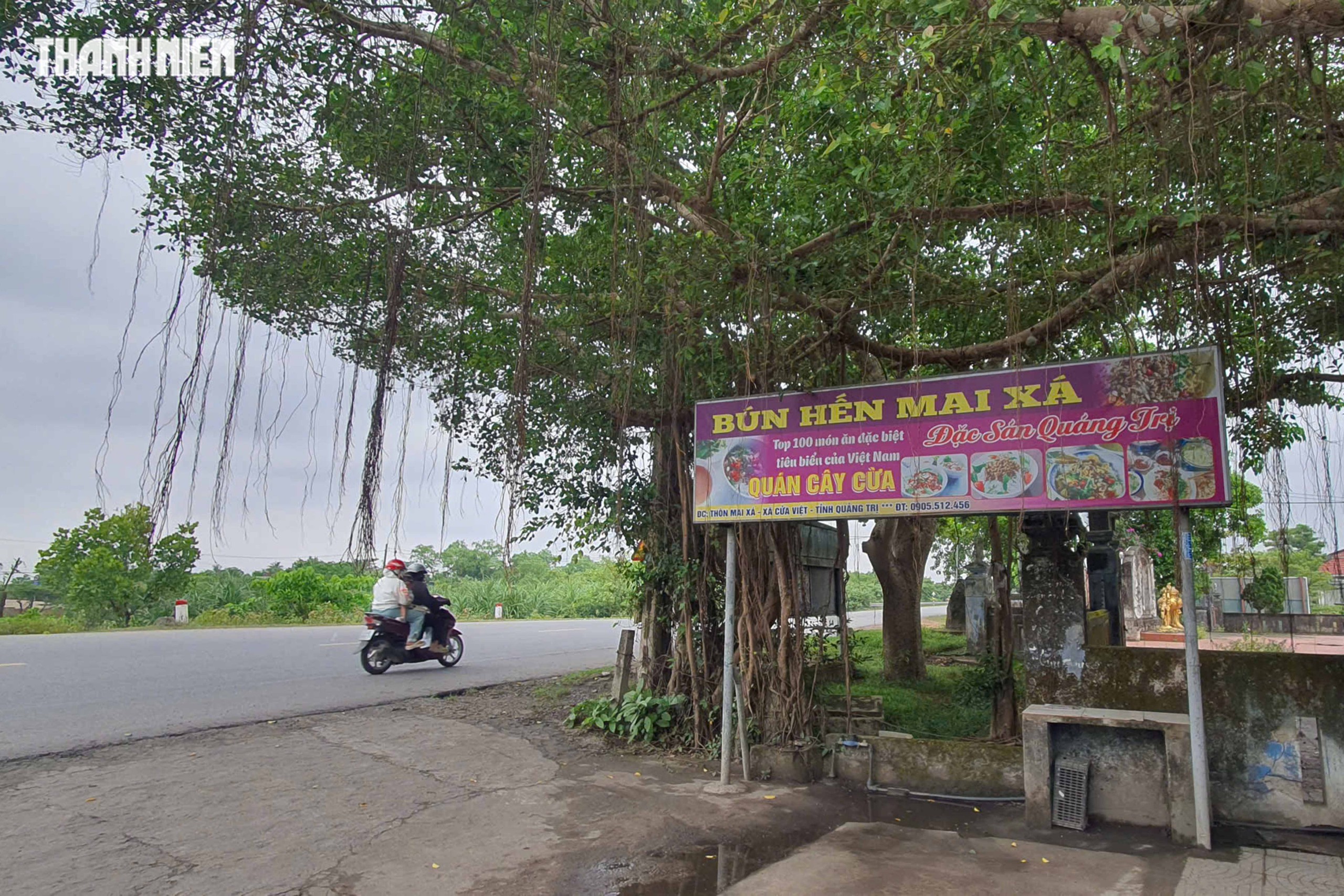 Bún hến Mai Xá: Món ngon Quảng Trị nổi tiếng vì cách trộn khác lạ- Ảnh 6.