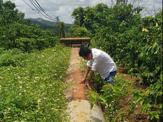 Trăm năm hương ch&egrave; B&agrave;u Cạn - Ảnh 11.