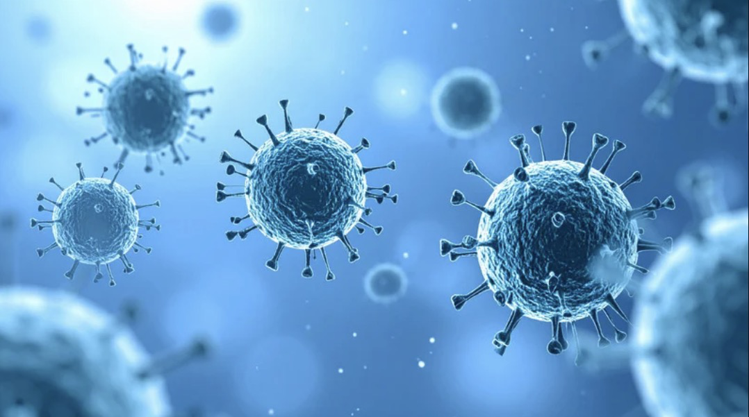 Virus 'th&ocirc;ng minh' ti&ecirc;u diệt ung thư, bảo vệ tế b&agrave;o l&agrave;nh như thế n&agrave;o? - Ảnh 1.