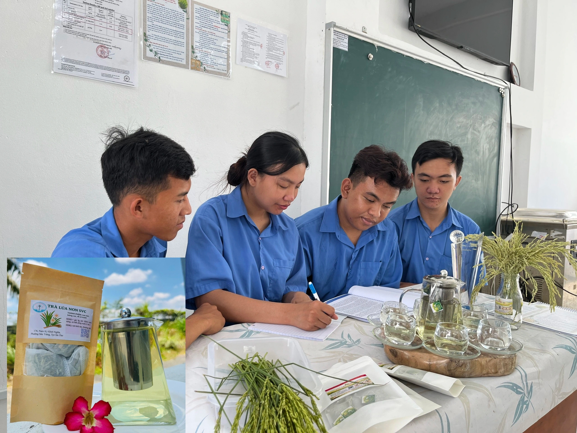 Sinh vi&ecirc;n l&agrave;m tr&agrave; từ l&uacute;a ch&eacute;t ST25 - Ảnh 1.