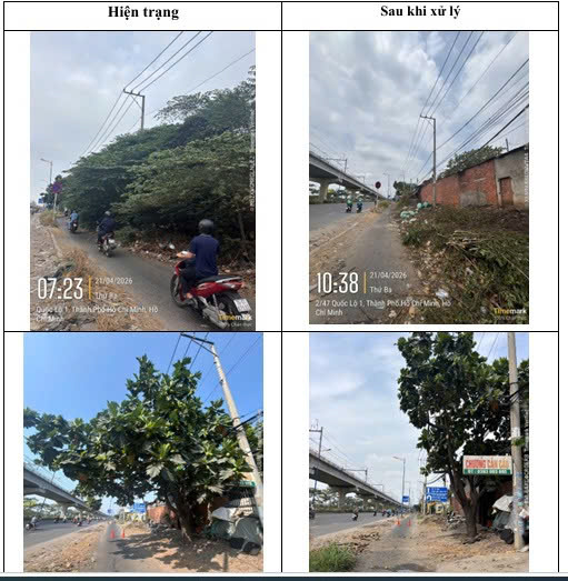 Đ&atilde; hỗ trợ cắt tỉa c&acirc;y xanh s&agrave; ra đường- Ảnh 1.