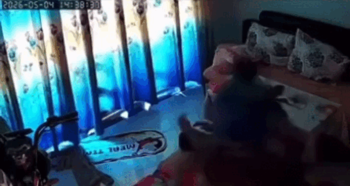 TP.HCM: X&aacute;c minh clip 'cha dượng' bạo h&agrave;nh con g&acirc;y bức x&uacute;c dư luận - Ảnh 1.