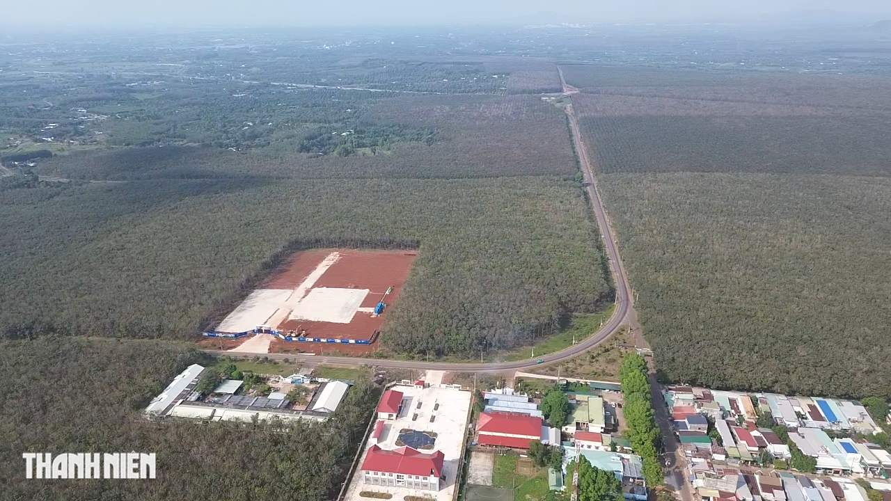 Th&agrave;nh phố Đồng Nai thu hồi 4.300 ha đất cao su cho c&aacute;c dự &aacute;n trọng điểm - Ảnh 2.