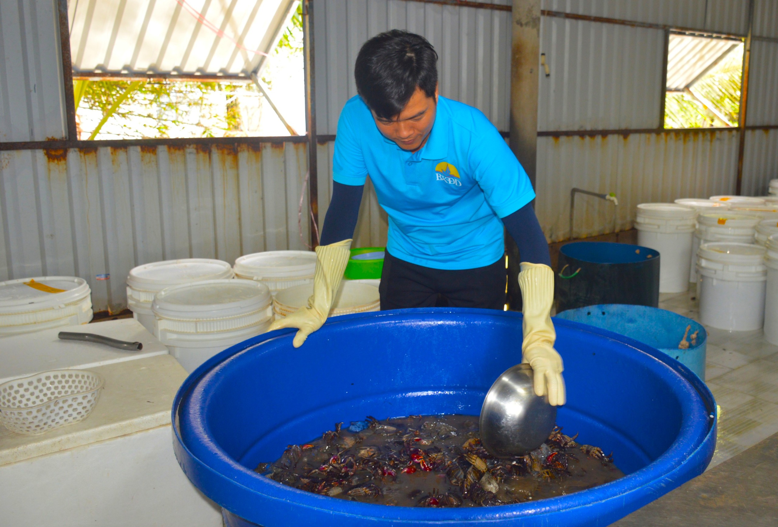 Từng bị xem là hàng dạt, ba khía lột thành riêu OCOP 4 sao Cú lật kèo của ba khía lột: Từ 'hàng dạt' thành riêu OCOP 4 sao - Ảnh 1.