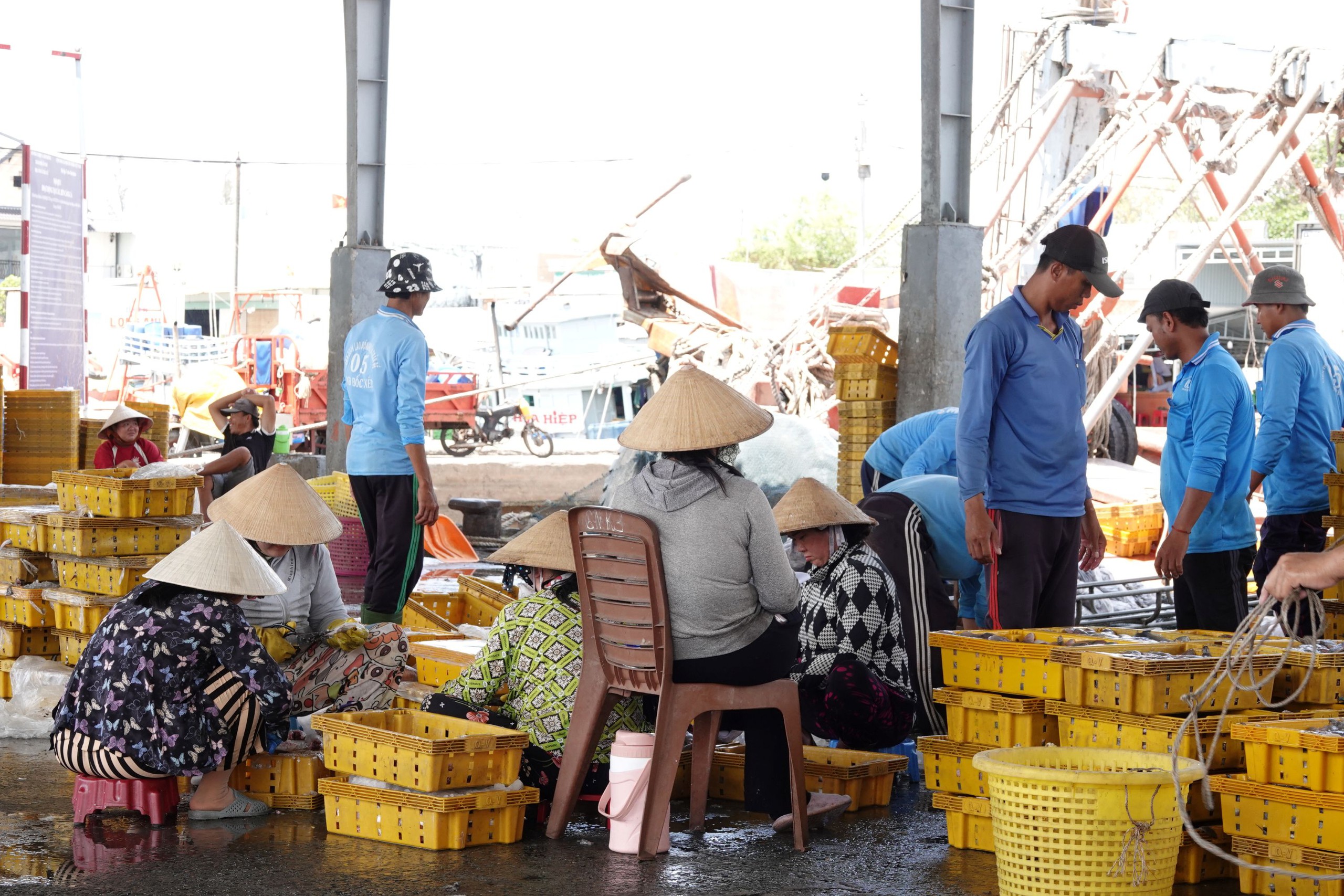  Người bốc xếp, vá lưới tất bật theo mùa cá - Ảnh 3.