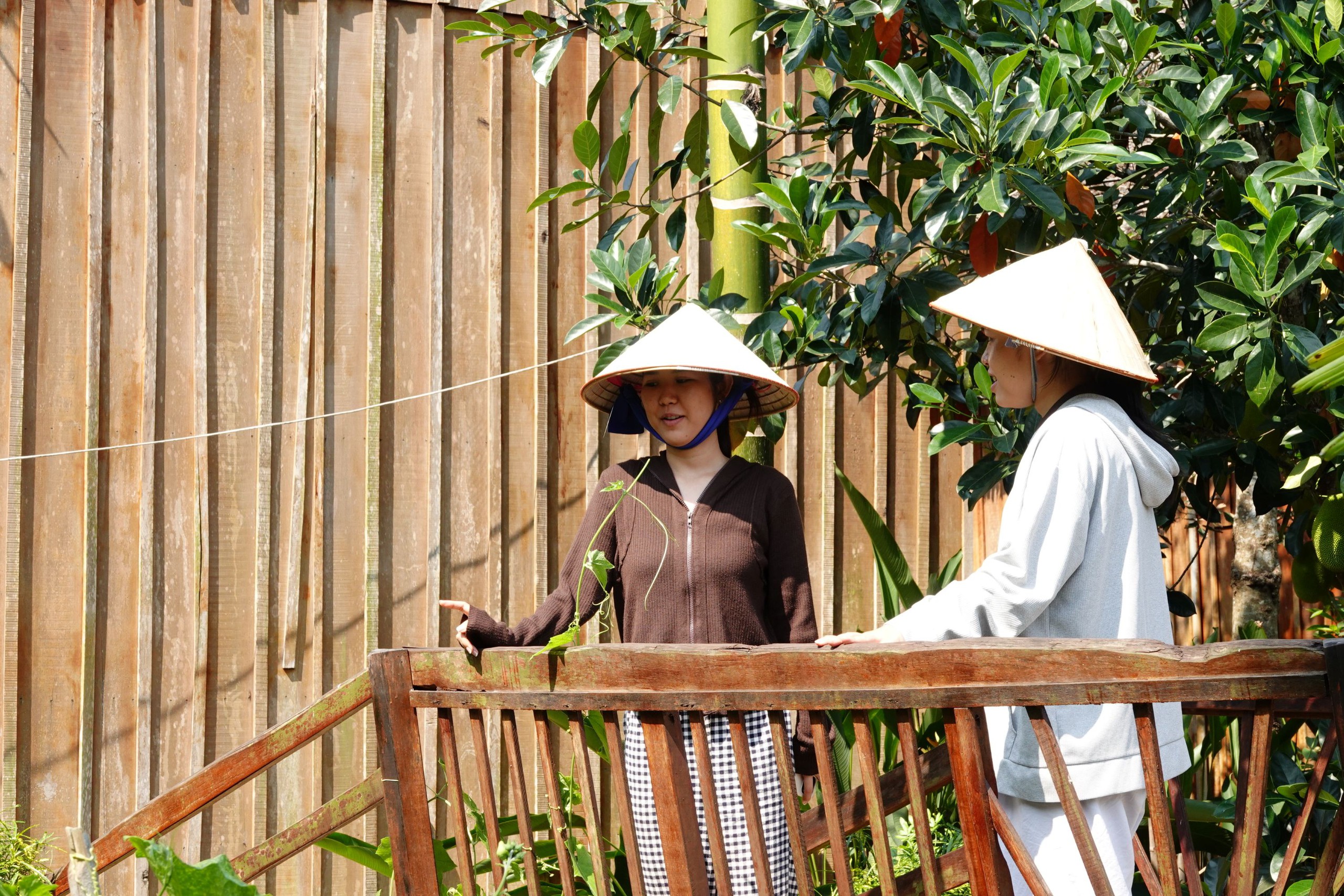 Điều g&igrave; khiến homestay miệt vườn của c&ocirc; g&aacute;i miền T&acirc;y thu h&uacute;t kh&aacute;ch quốc tế?  - Ảnh 1.