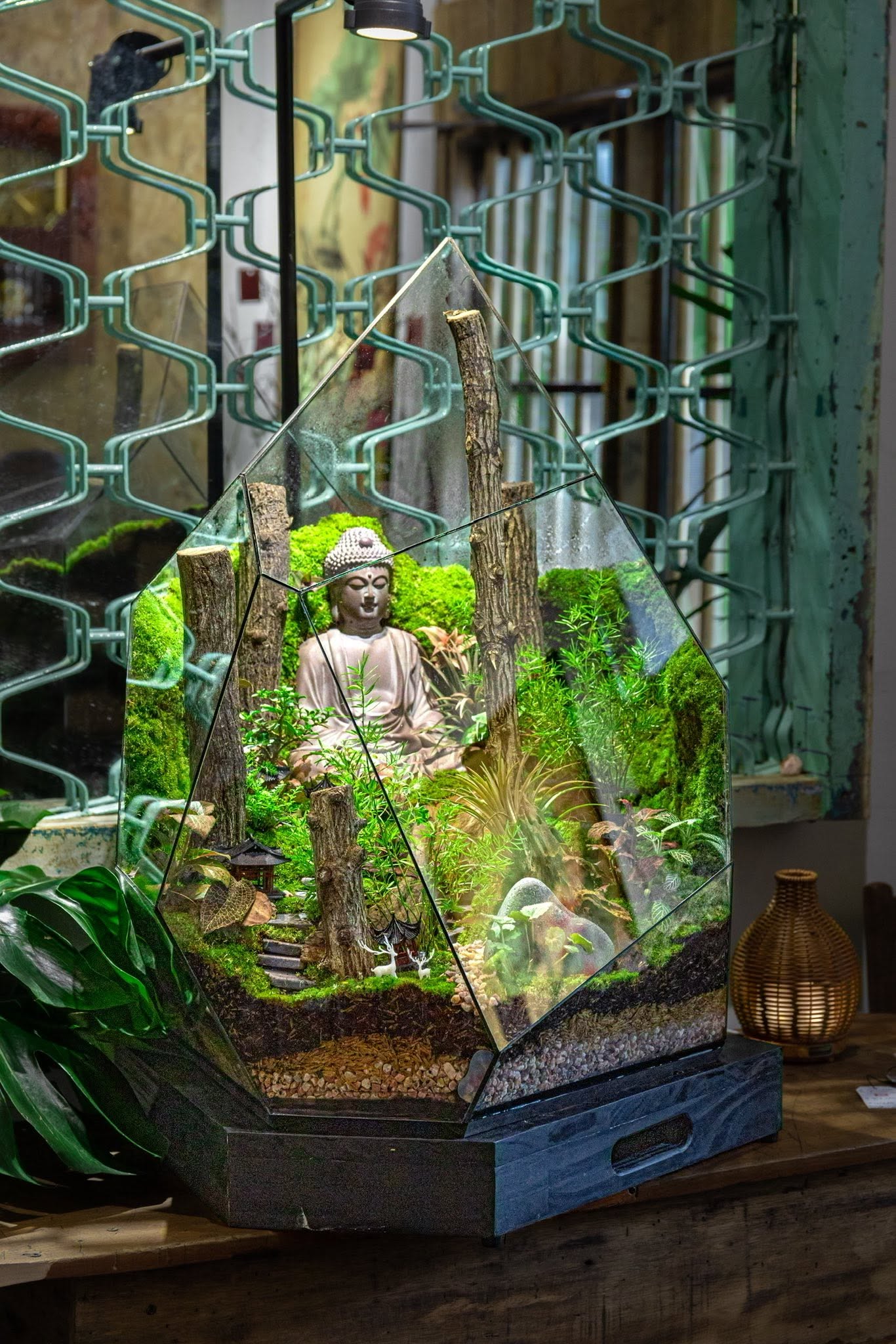 Cùng sống xanh số 152: Khi nghệ thuật terrarium được chăm sóc bằng vi sinh bản địa - Ảnh 2.