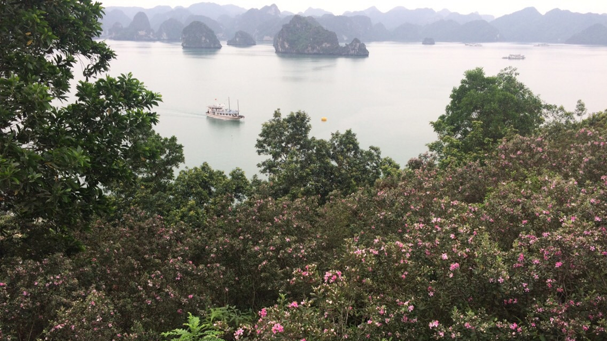 Vào top 100 thế giới, bãi tắm Soi Sim vẫn đóng cửa- Ảnh 4. Vào top 100 thế giới, bãi tắm Soi Sim vẫn đóng cửa- Ảnh 4.