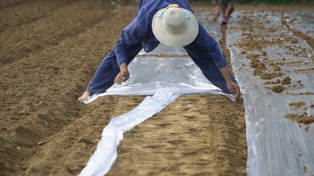 Quảng Trị tìm giải pháp thích ứng khí hậu từ những người chịu tác động trực tiếp- Ảnh 5. Quảng Trị tìm giải pháp thích ứng khí hậu từ những người chịu tác động trực tiếp- Ảnh 5.