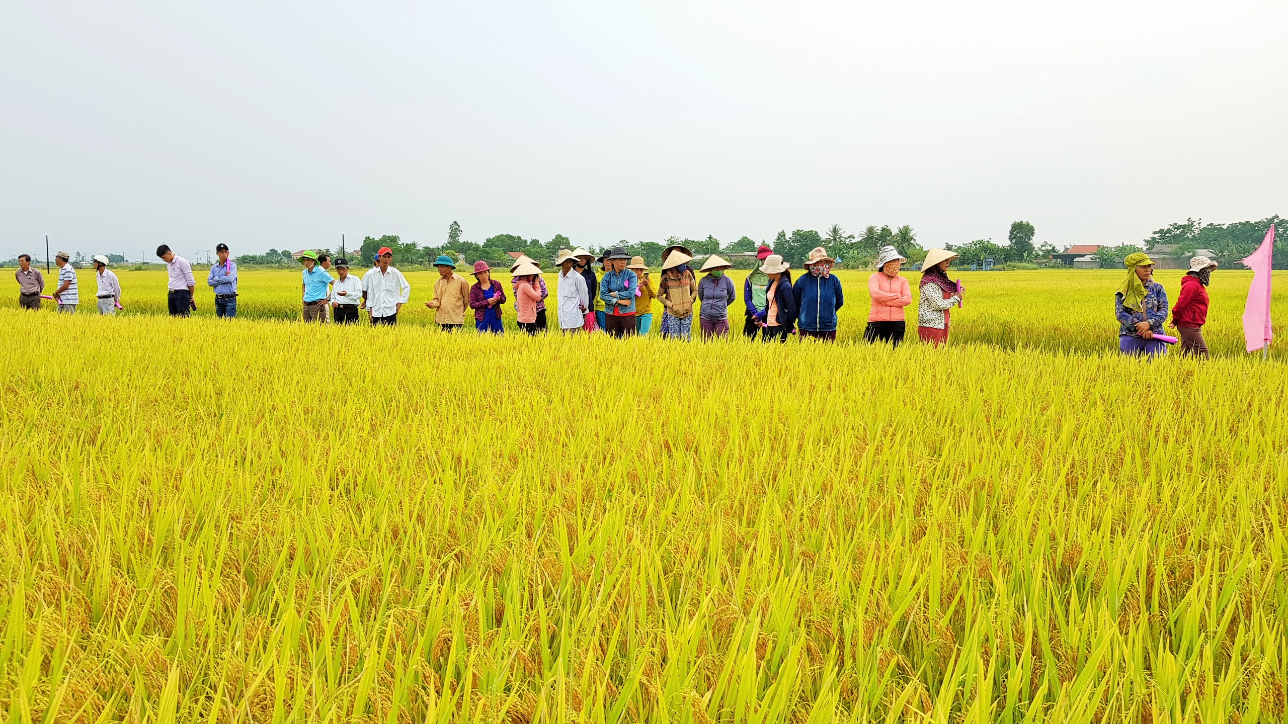 Quảng Trị tìm giải pháp thích ứng khí hậu từ những người chịu tác động trực tiếp- Ảnh 4. Quảng Trị tìm giải pháp thích ứng khí hậu từ những người chịu tác động trực tiếp- Ảnh 4.