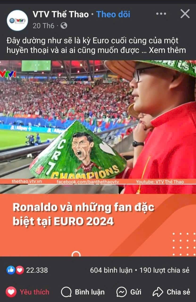 Người Việt mang n&oacute;n l&aacute; Việt Nam đi khắp nước Mỹ cổ động World Cup - Ảnh 10.