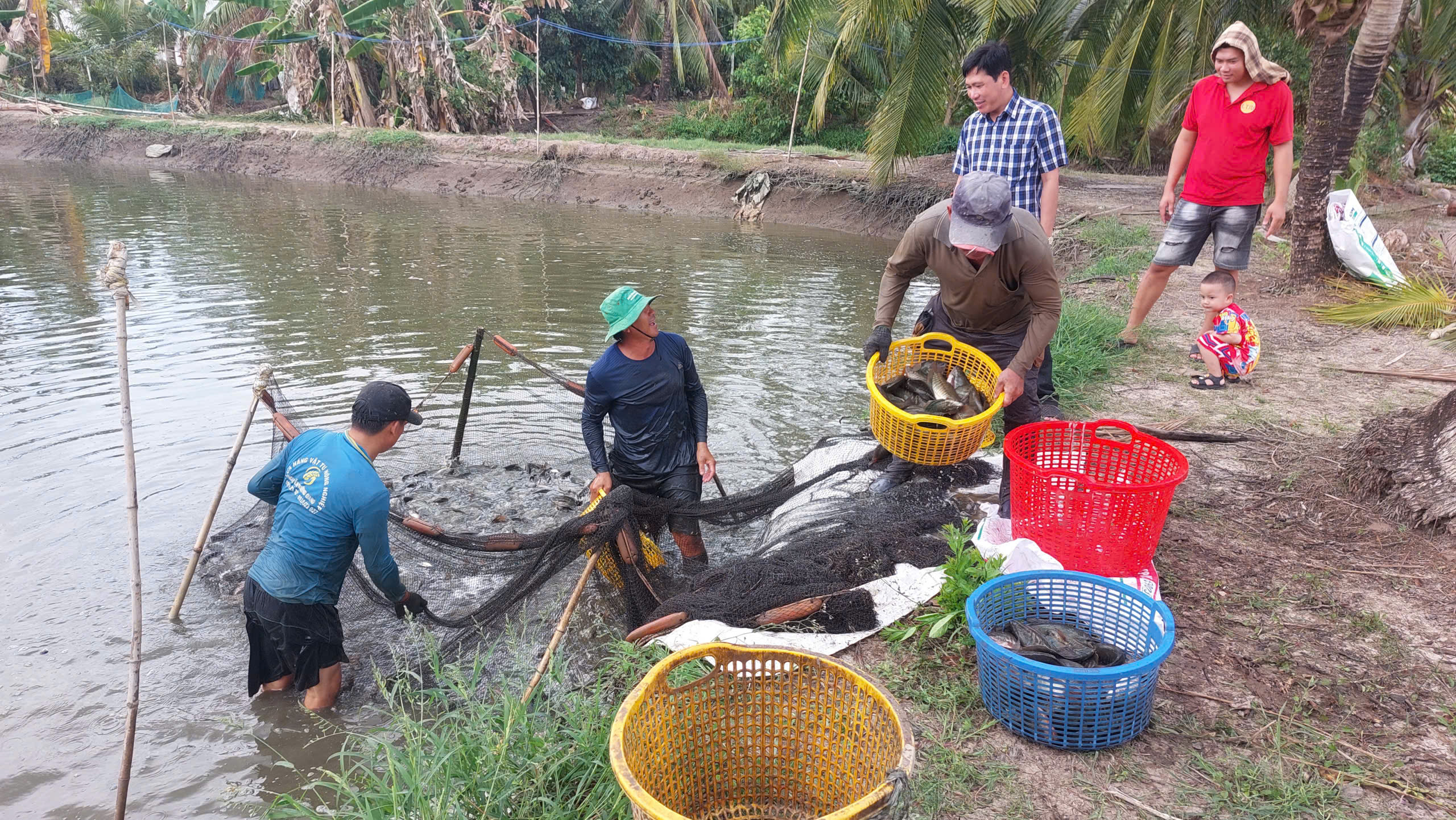 Một đô thị chuyển tiếp đang định hình ở phía tây Cà Mau - Ảnh 4.