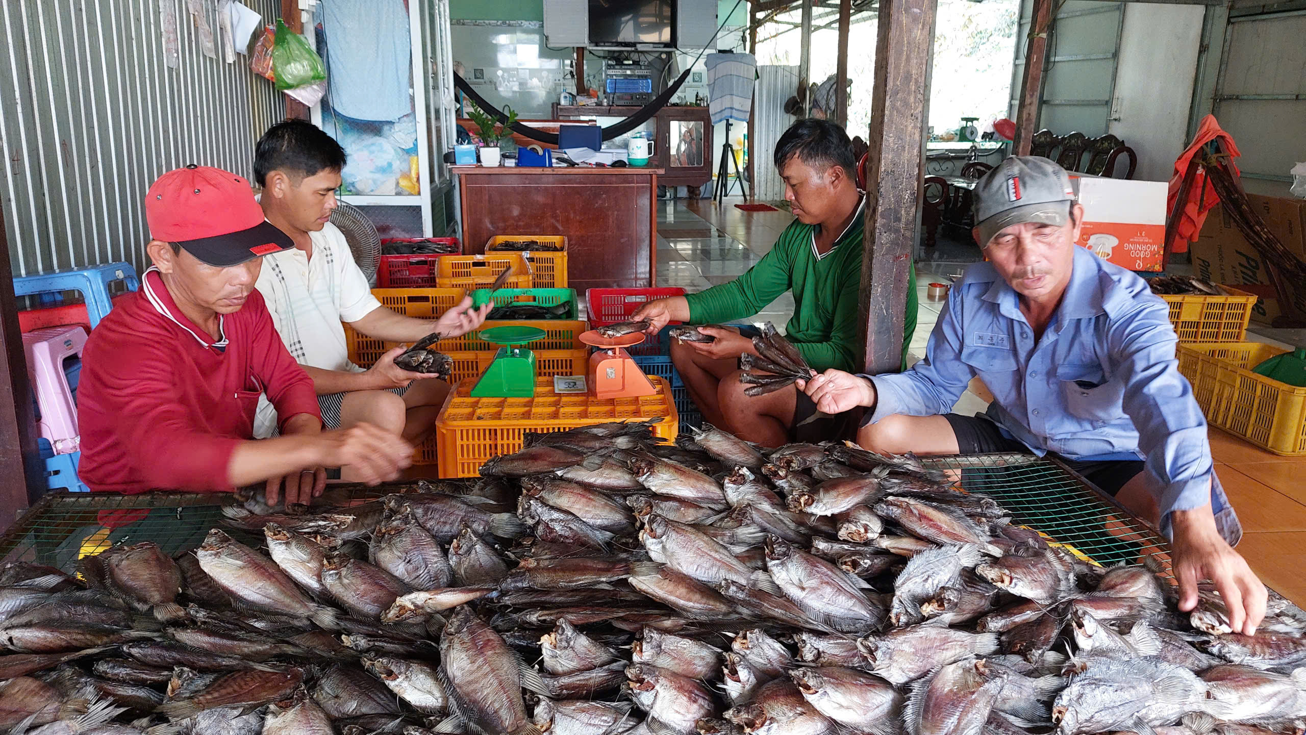 Một đô thị chuyển tiếp đang định hình ở phía tây Cà Mau - Ảnh 6.