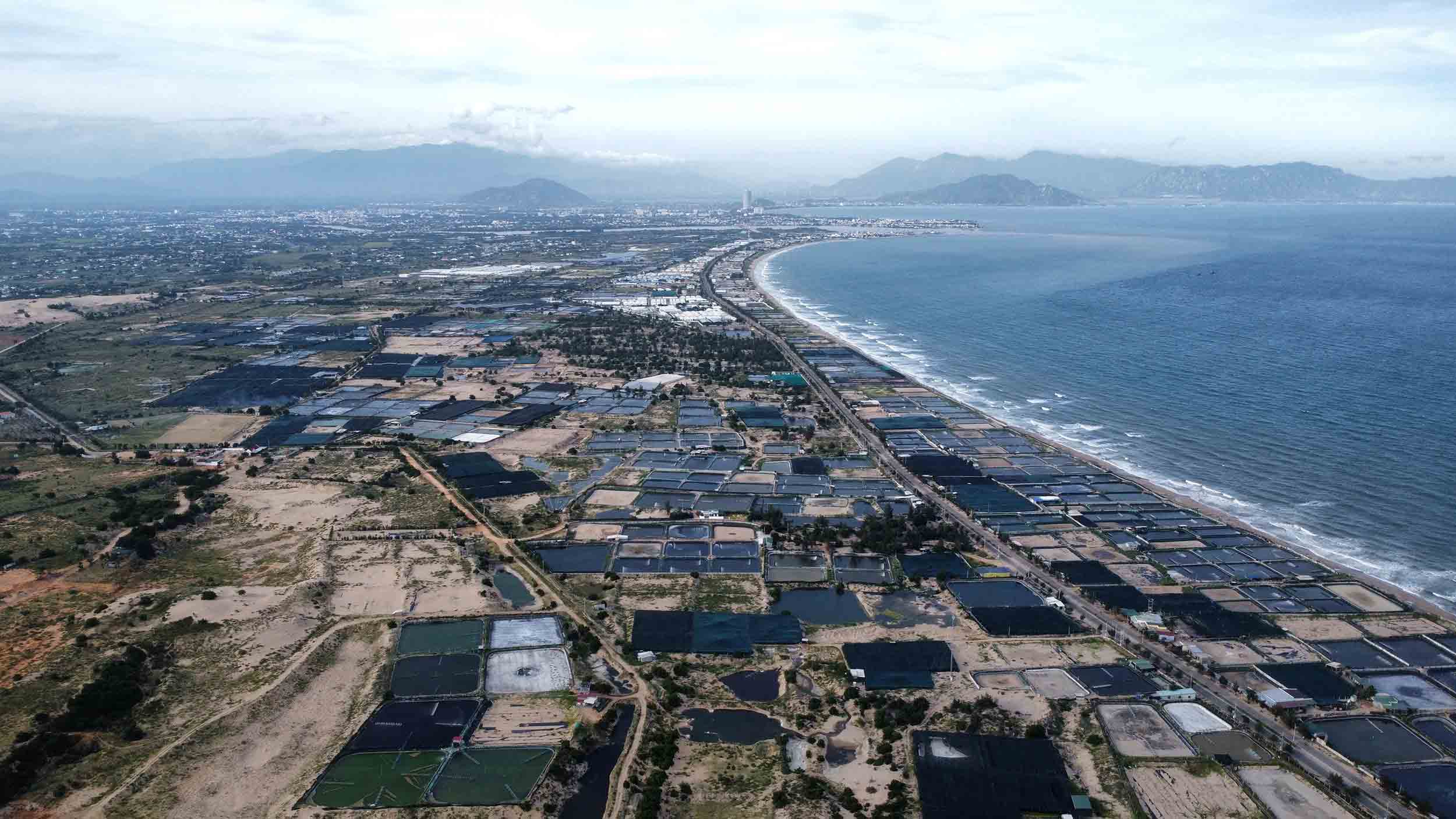 Vận hội mới từ điện hạt nhân Khánh Hòa- Ảnh 3. Vận hội mới từ điện hạt nhân Khánh Hòa- Ảnh 3.