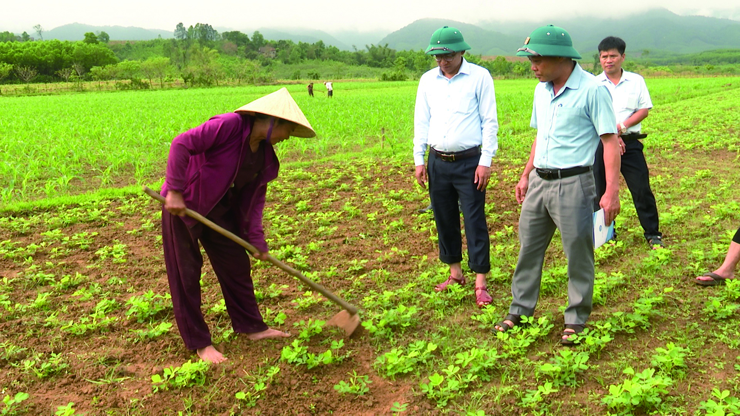 Ba Lòng khai mở tiềm năng kinh tế bằng những nghị quyết chuyên đề - Ảnh 1.