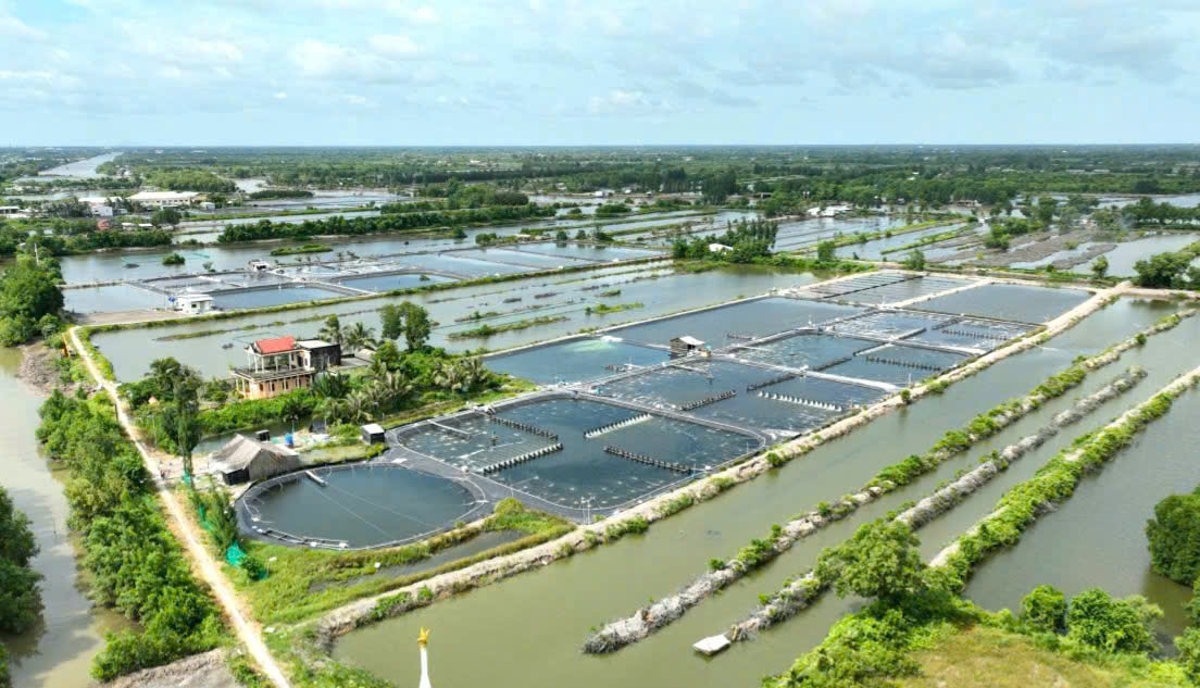 Cà Mau lập 13 phường: Năm Căn lên phường, không gian chiến lược ven biển- Ảnh 2. Cà Mau lập 13 phường: Năm Căn lên phường, không gian chiến lược ven biển- Ảnh 2.