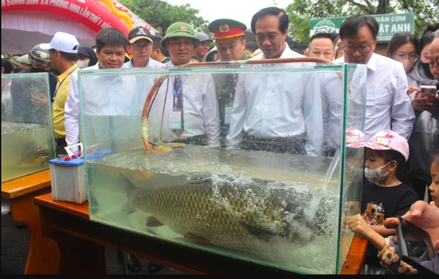 Thi "hoa hậu cá trắm" ở Phong Nha - Ảnh 6.