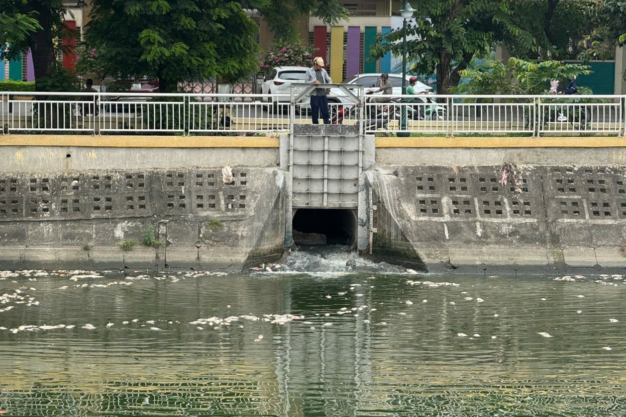 Hà Nội: Cá chết hàng loạt, nổi trắng hồ điều hòa công viên Nghĩa Đô- Ảnh 4. Hà Nội: Cá chết hàng loạt, nổi trắng hồ điều hòa công viên Nghĩa Đô- Ảnh 4.