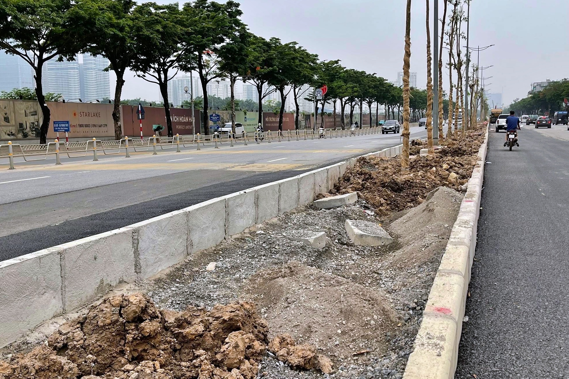 Chủ đầu tư nói gì khi trồng cây trên nền đá dăm ở đường Võ Chí Công?- Ảnh 1.