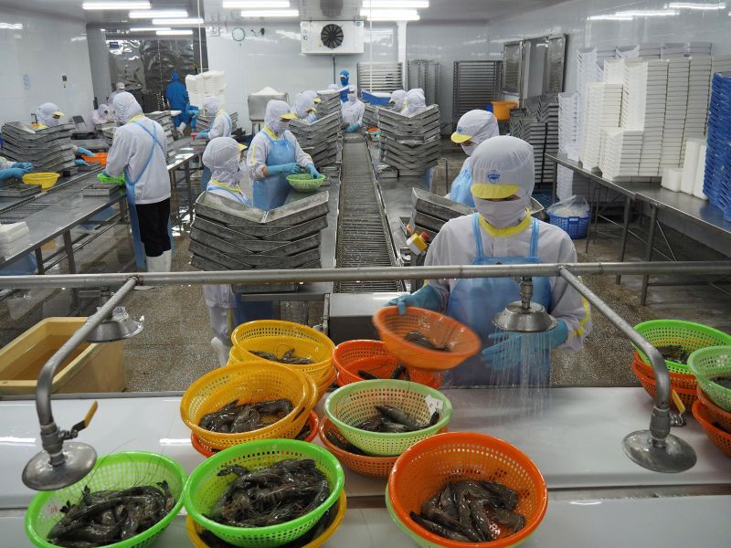 Cà Mau lập 13 phường: Năm Căn lên phường, không gian chiến lược ven biển- Ảnh 3. Cà Mau lập 13 phường: Năm Căn lên phường, không gian chiến lược ven biển- Ảnh 3.
