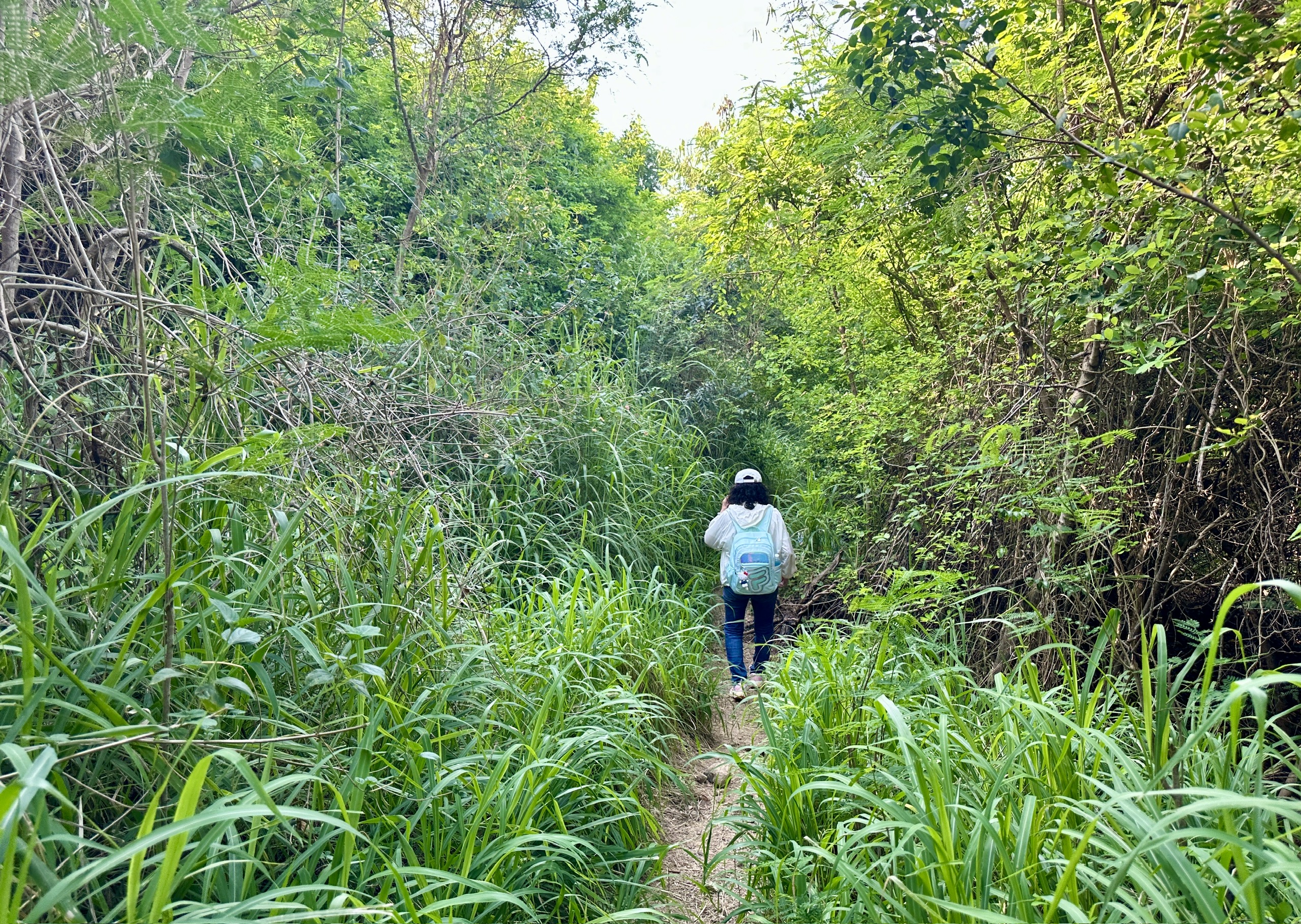 Bãi Sỏi dưới đèo Lương Sơn tuyệt đẹp, biển Nha Trang rất 'khác lạ'- Ảnh 3. Bãi Sỏi dưới đèo Lương Sơn tuyệt đẹp, biển Nha Trang rất 'khác lạ'- Ảnh 3.