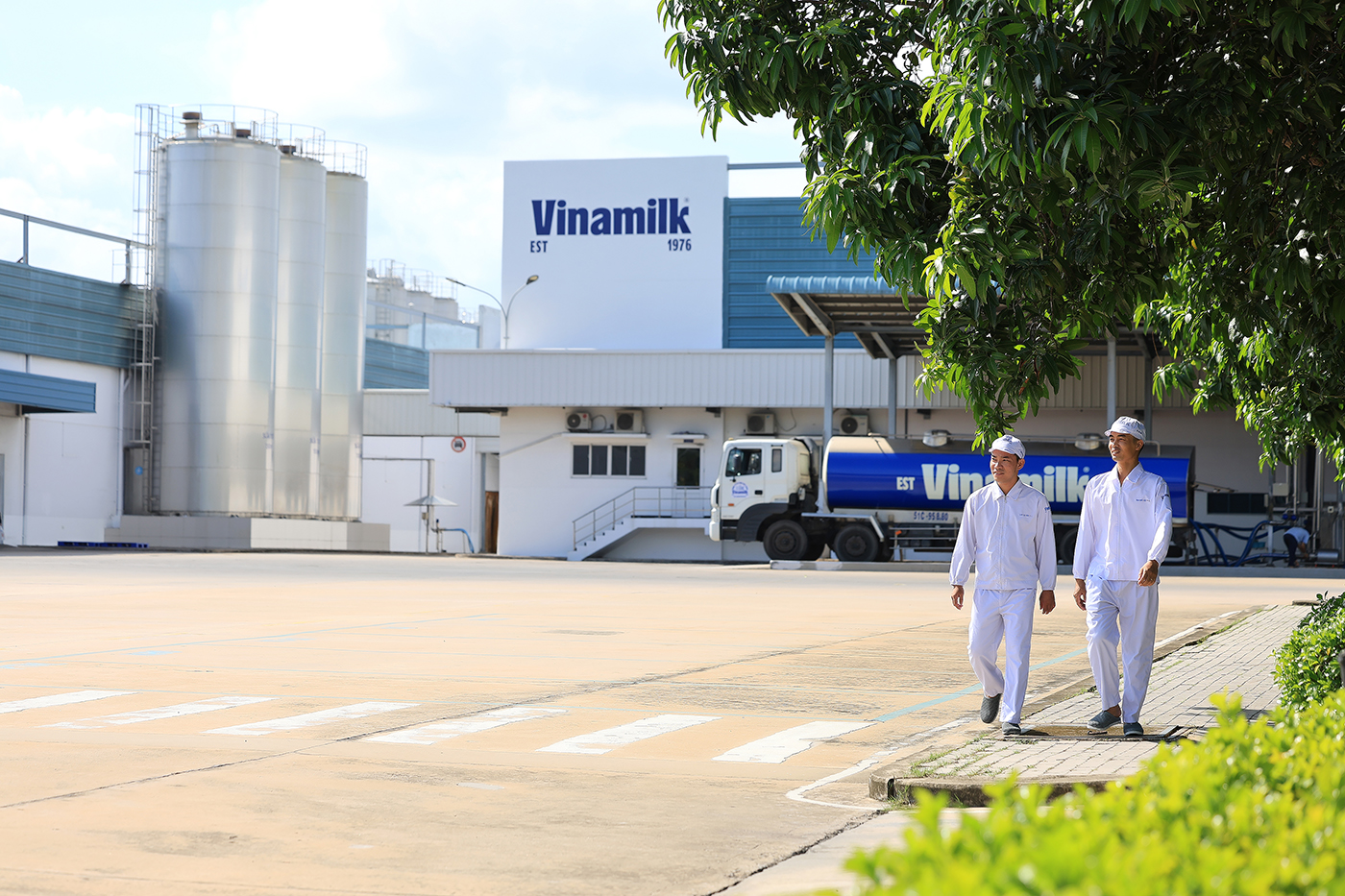 Vinamilk là doanh nghiệp sữa duy nhất của Việt Nam trong Fortune 500 Đông Nam Á- Ảnh 1. Vinamilk là doanh nghiệp sữa duy nhất của Việt Nam trong Fortune 500 Đông Nam Á- Ảnh 1.