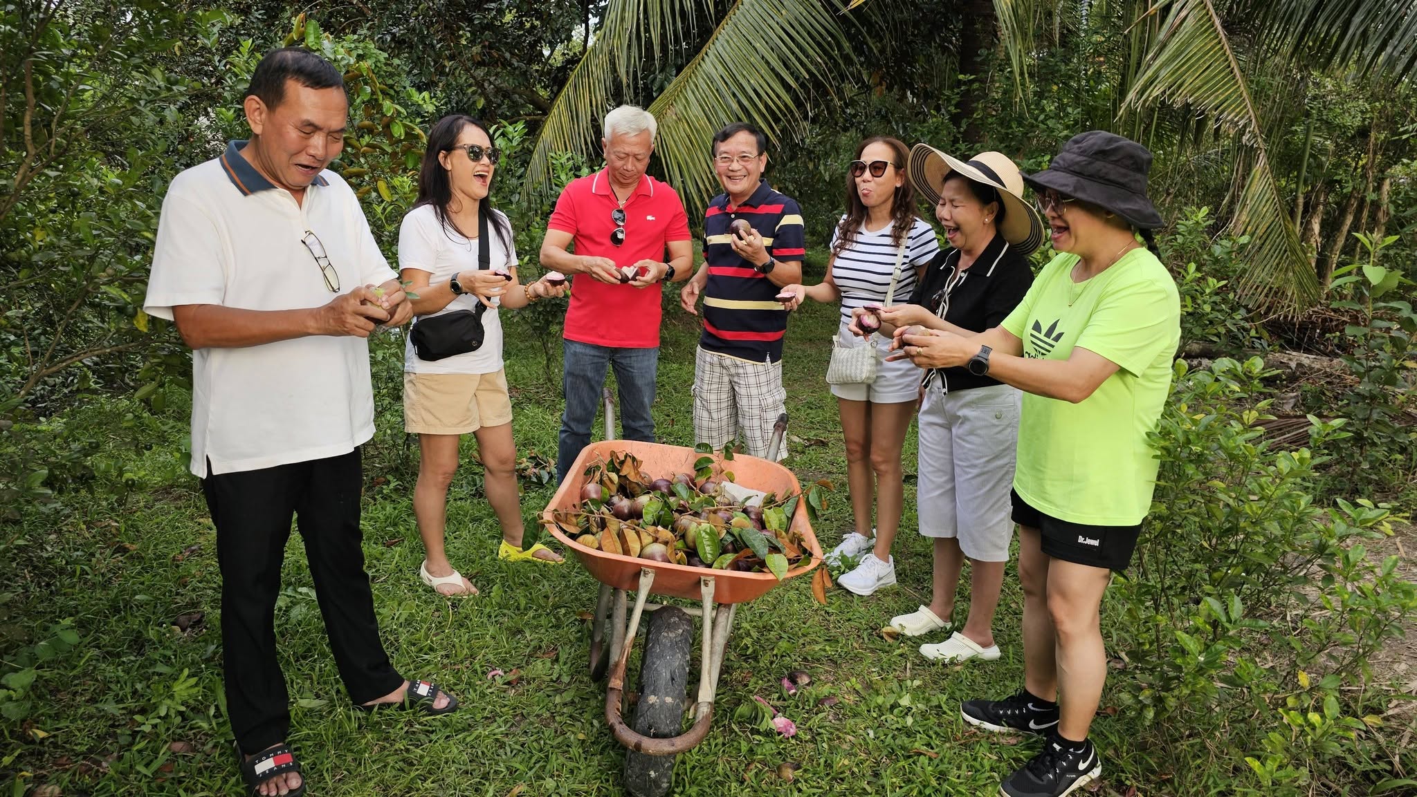 Không thu tiền vé vào cổng, chủ vườn Cần Thơ bán hơn 1 tấn trái mỗi ngày - Ảnh 2.