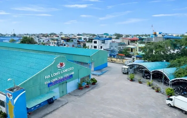 Đồ hộp Hạ Long vận hành lại nhà máy Hải Phòng- Ảnh 1. Đồ hộp Hạ Long vận hành lại nhà máy Hải Phòng- Ảnh 1.