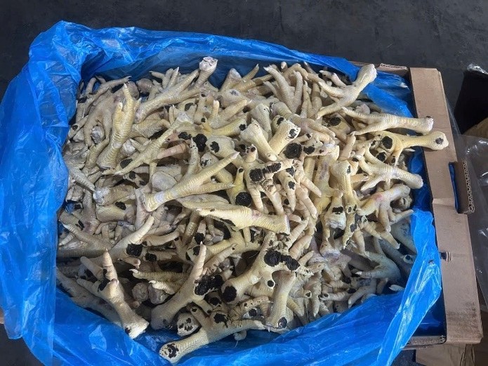 Bắt giám đốc công ty xuất nhập khẩu bán hơn 10.000 tấn chân gà 'bẩn'- Ảnh 4. Bắt giám đốc công ty xuất nhập khẩu bán hơn 10.000 tấn chân gà 'bẩn'- Ảnh 4.