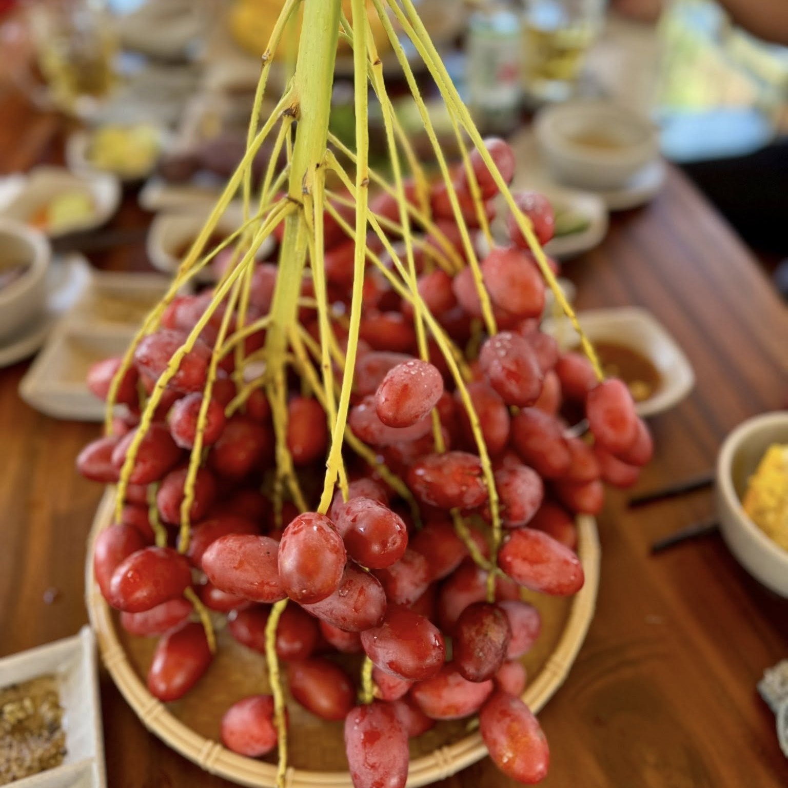 Chàng trai miền Tây biến vườn chà là ở vùng biên thành điểm du lịch hấp dẫn - Ảnh 4.