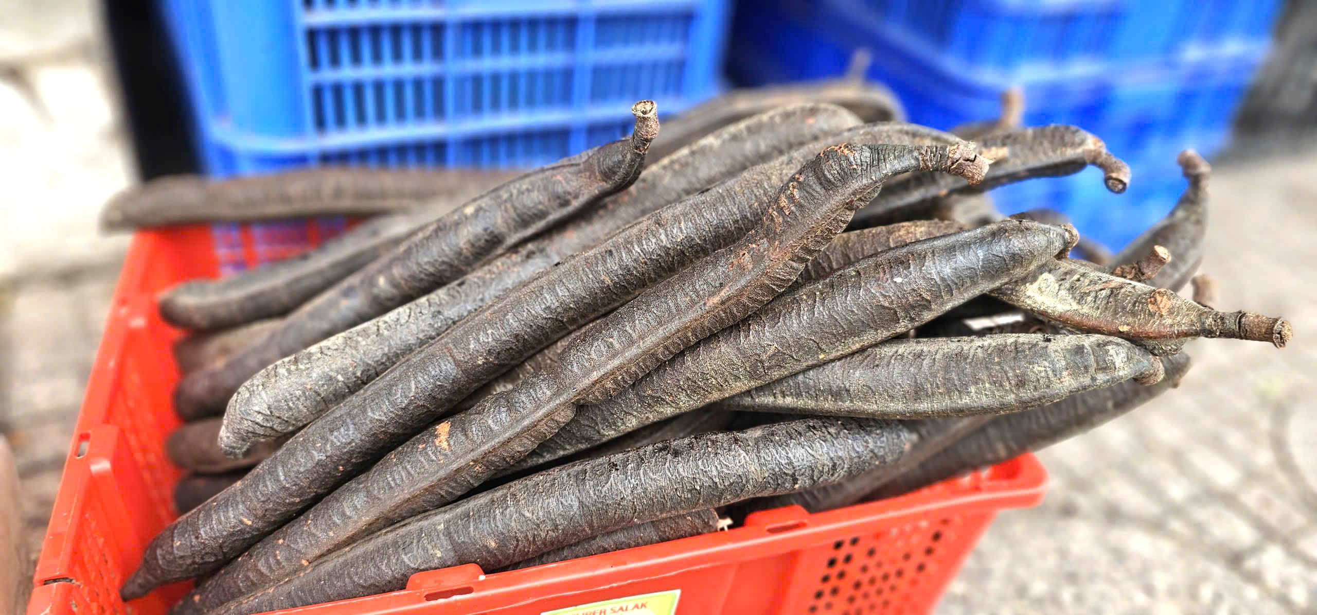 Cụ bà và phụ huynh đội nắng tìm mua trái cây tuổi thơ cùng con cháu - Ảnh 8.