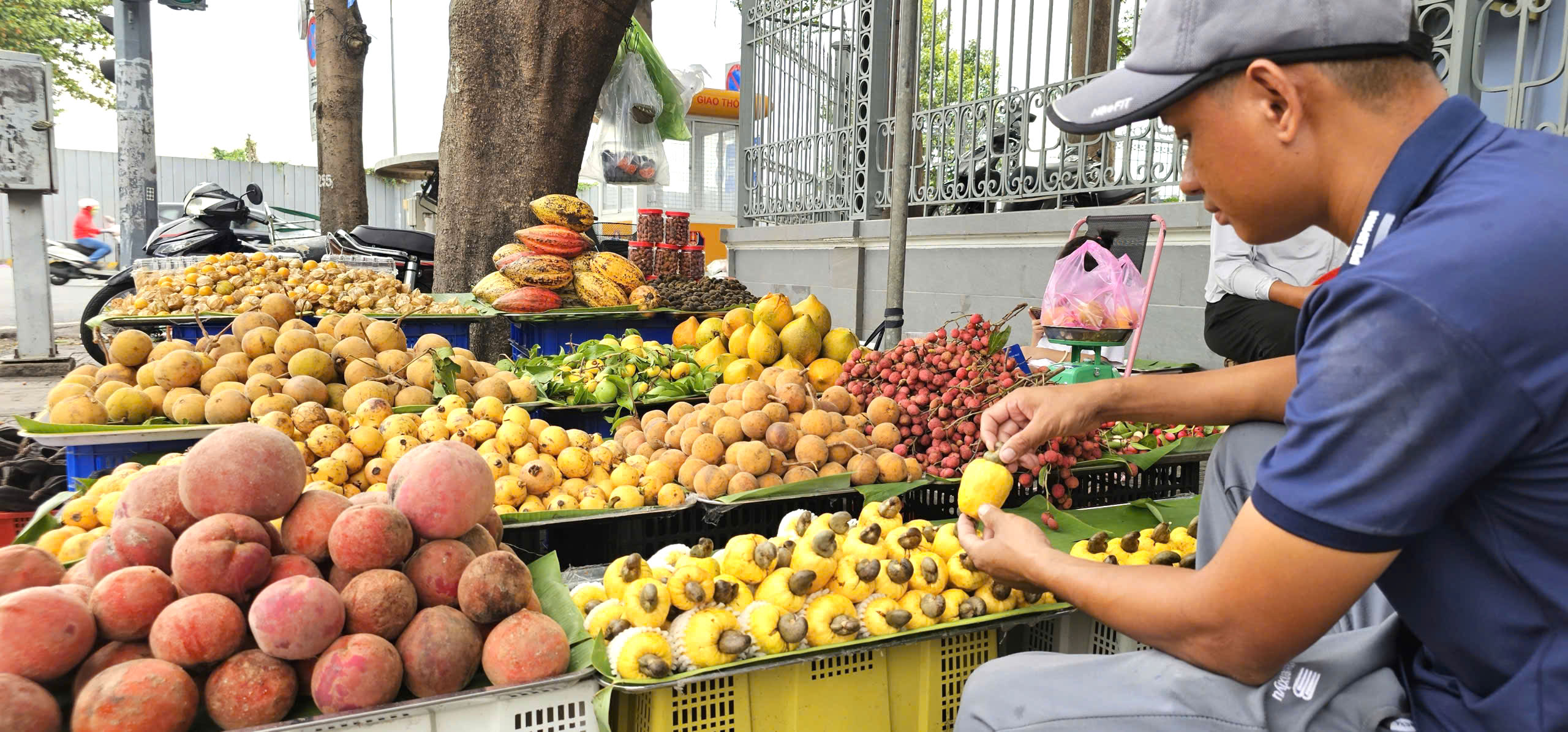 Cụ bà và phụ huynh đội nắng tìm mua trái cây tuổi thơ cùng con cháu - Ảnh 1.